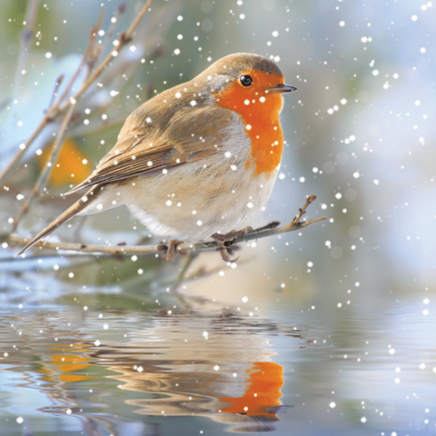 *NEW DESIGN* Willow Christmas Cards - Robin's Reflection x 10