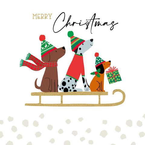 New for Christmas 2025! Bark and Ride