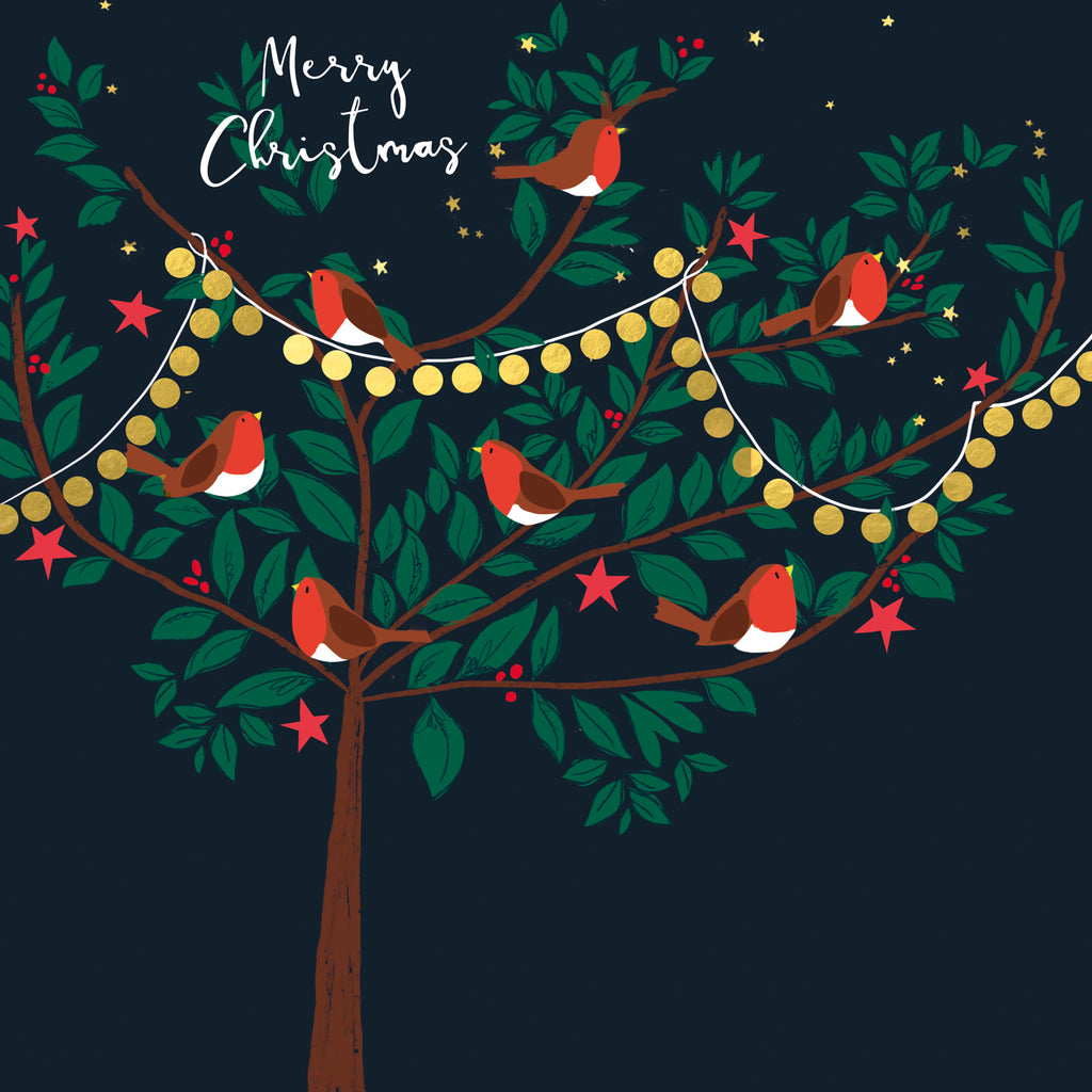 New for Christmas 2025! Carol of robins