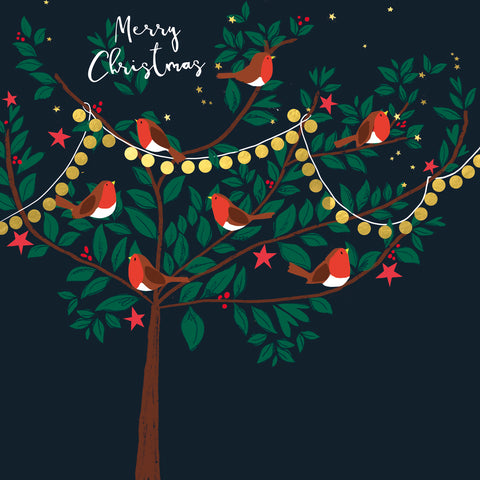 New for Christmas 2025! Carol of robins