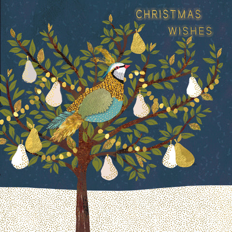 New for Christmas 2025! Partridge in a Pear Tree