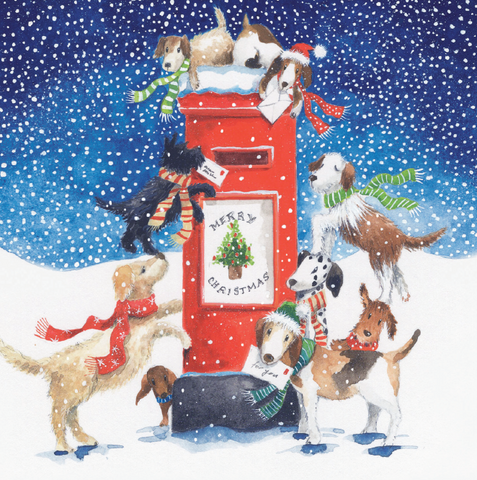 New For Christmas 2026! That's Christmas Licked