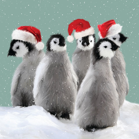 Willow Christmas Cards - Christmas Penguins x 10