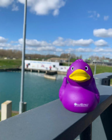 Willow Rubber Duck